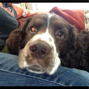 Meet your Posher, Clarissa